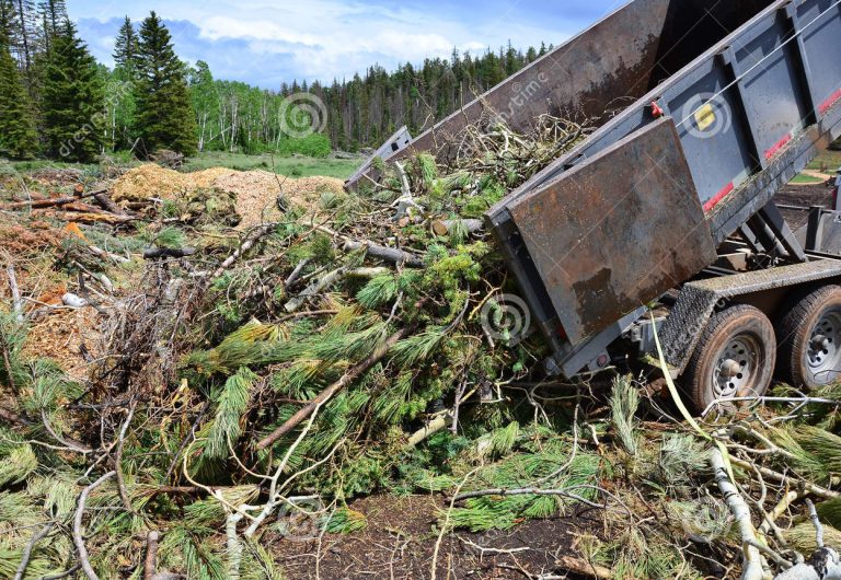 dump-trailer-dumping-limbs-20338536